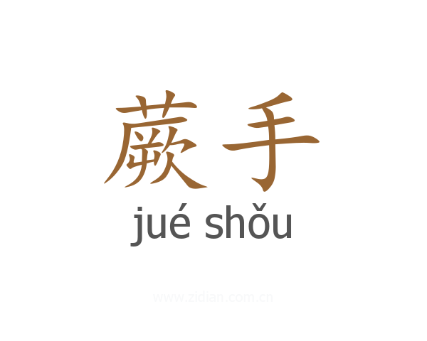 蕨手