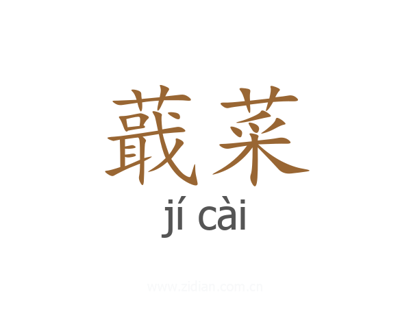蕺菜