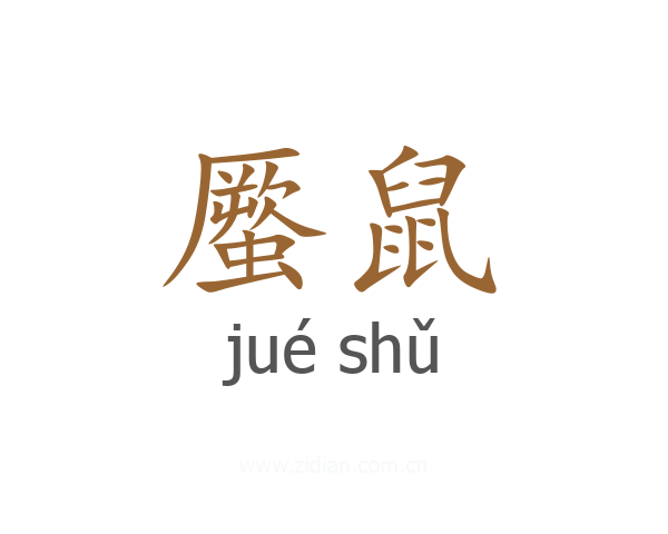 蟨鼠