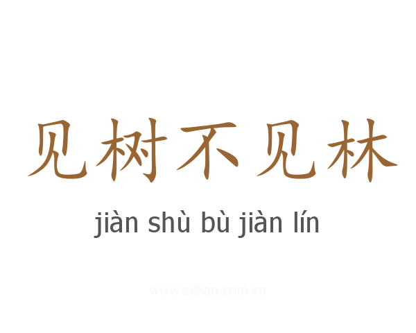 见树不见林