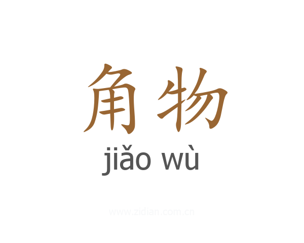角物