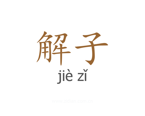 解子