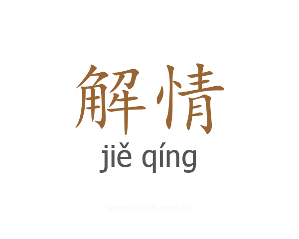 解情