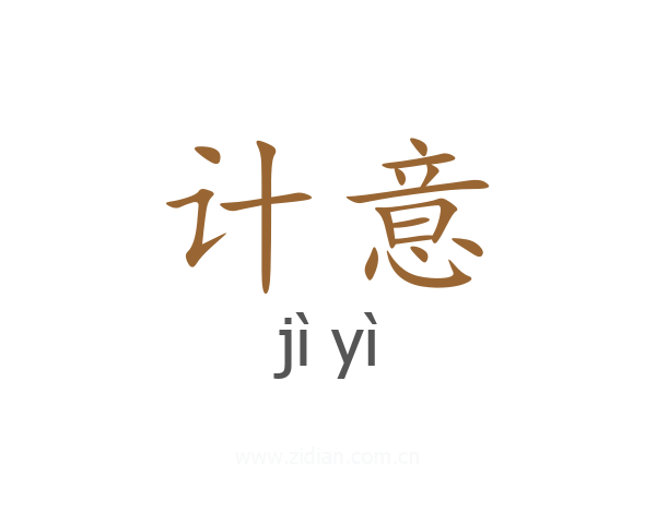 计意