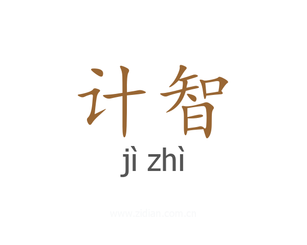 计智
