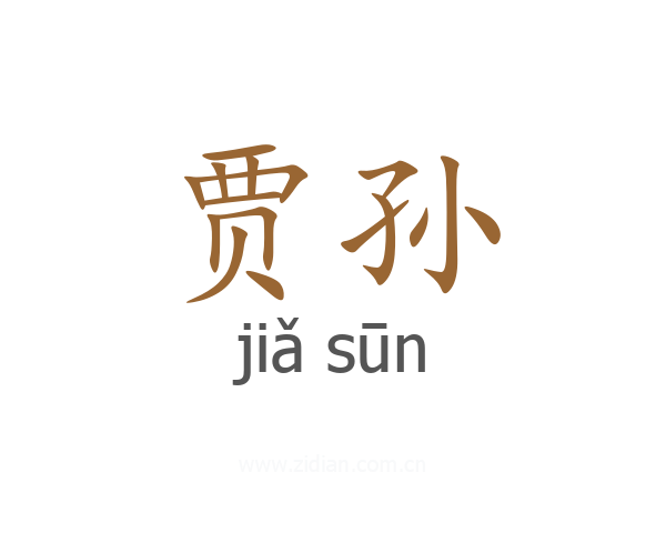 贾孙