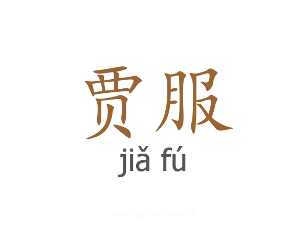 贾服