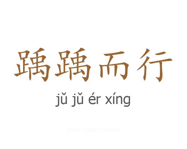 踽踽而行