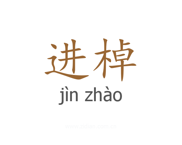进棹