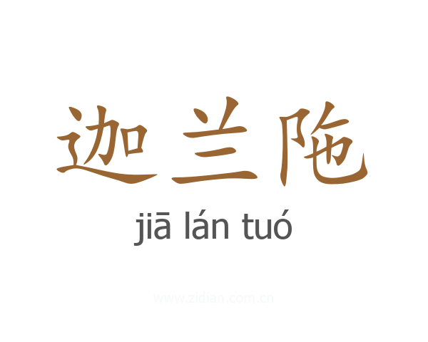 迦兰陁