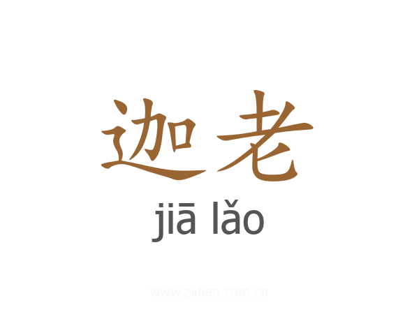 迦老