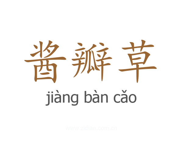 酱瓣草