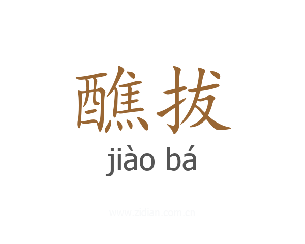 醮拔