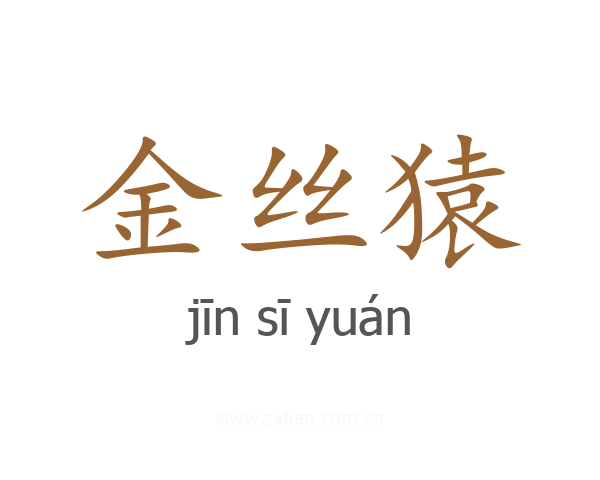 金丝猿