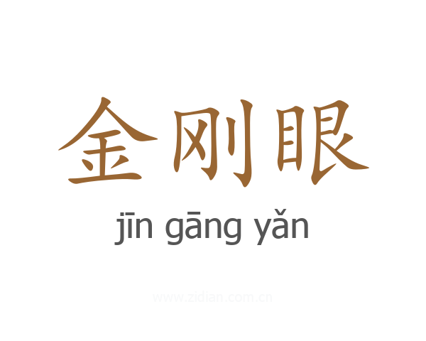 金刚眼
