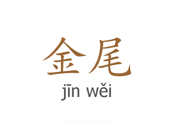 金尾