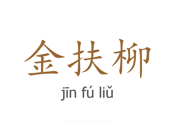 金扶柳