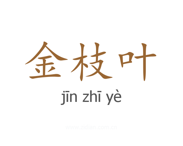 金枝叶