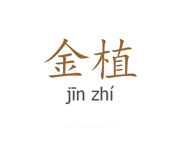 金植