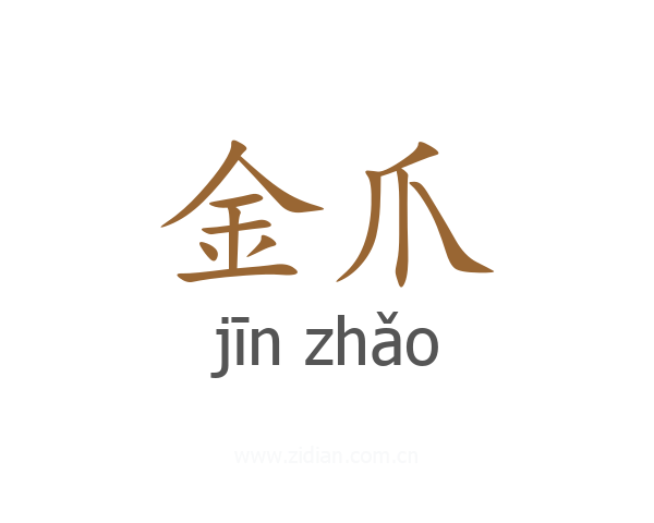 金爪