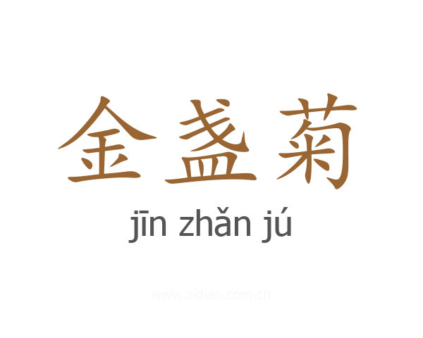 金盏菊