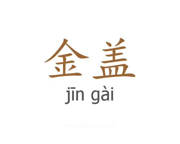 金盖