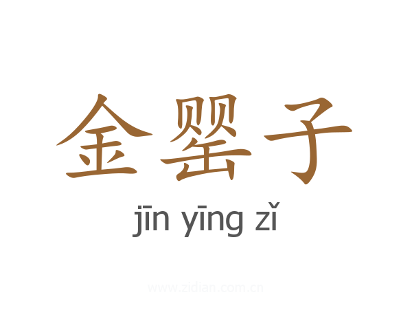 金罂子