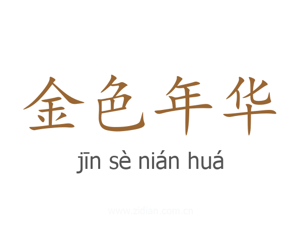 金色年华