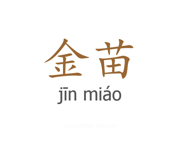 金苗