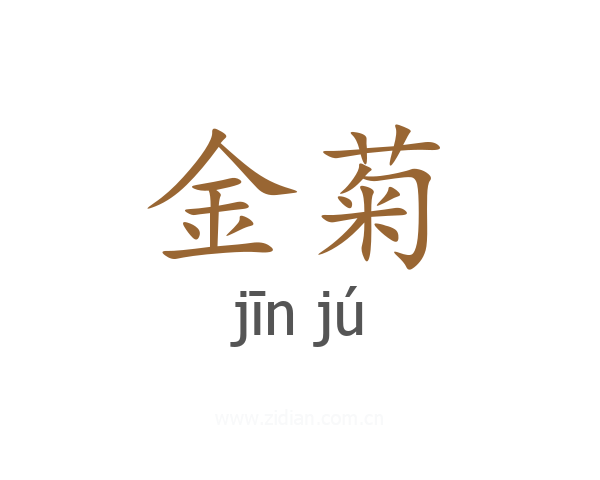 金菊