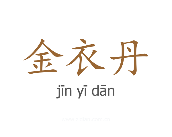 金衣丹