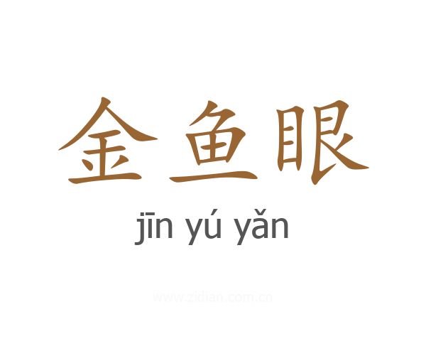 金鱼眼