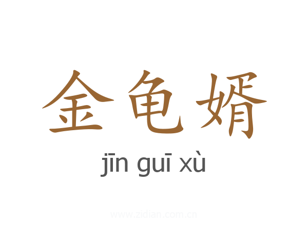 金龟婿