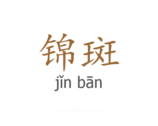 锦斑