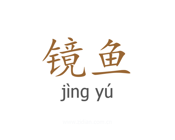 镜鱼