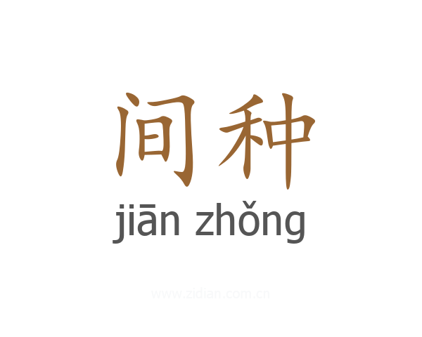 间种