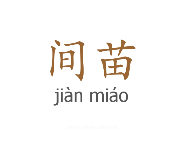 间苗