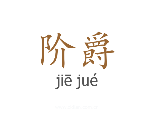 阶爵