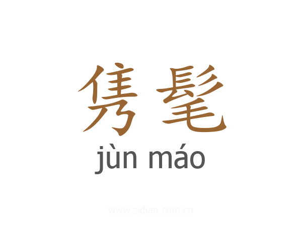 隽髦