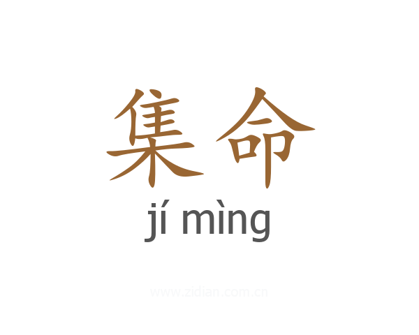 集命