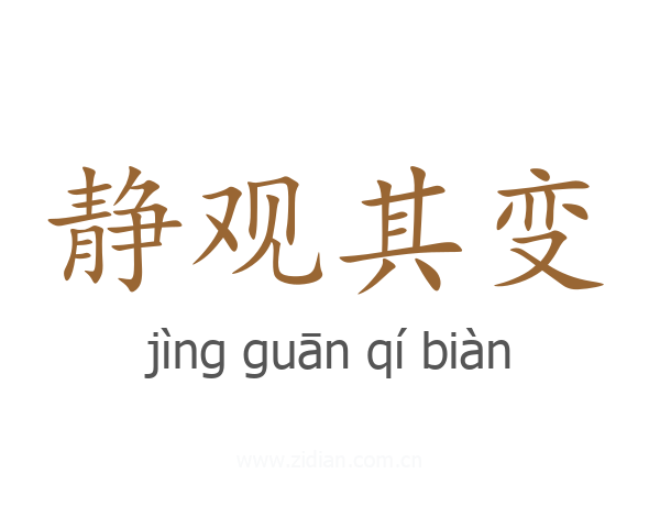 静观其变