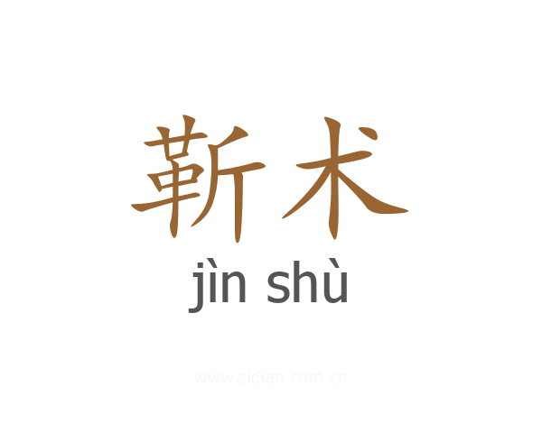 靳术