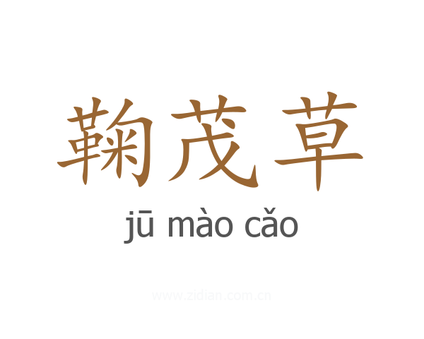 鞠茂草