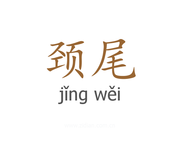 颈尾