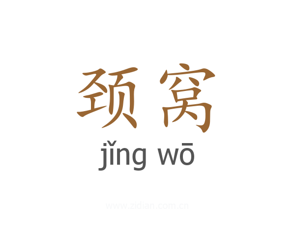 颈窝