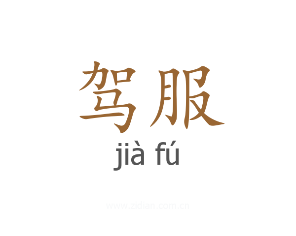 驾服