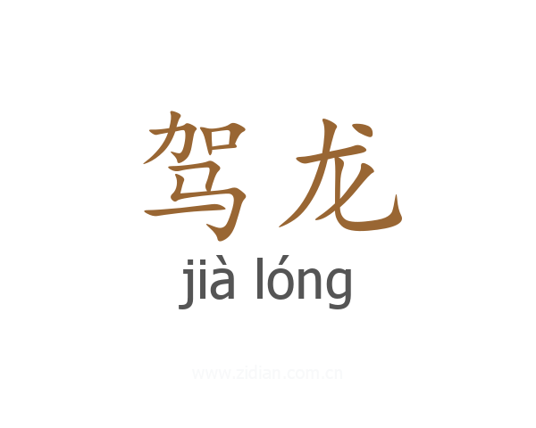 驾龙