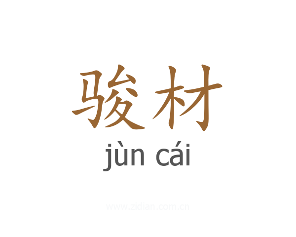 骏材
