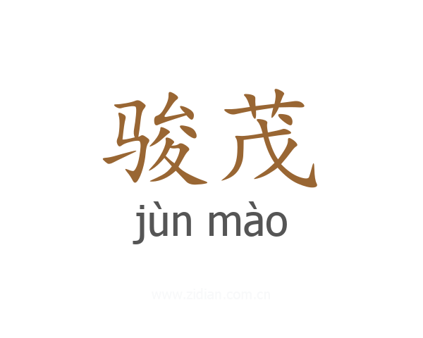 骏茂