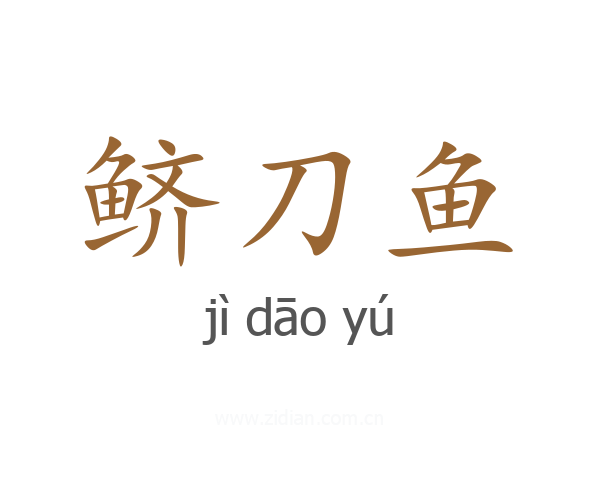 鲚刀鱼